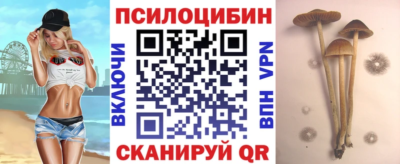 Псилоцибиновые грибы GOLDEN TEACHER  хочу наркоту  Калининец 